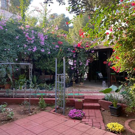 Betul Guest House ファマグスタ エクステリア 写真